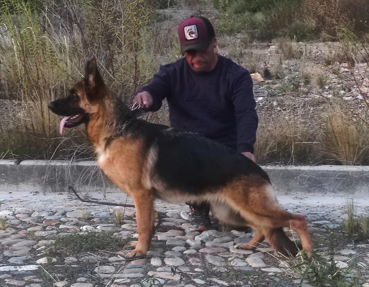 Aura vom Tunariblick