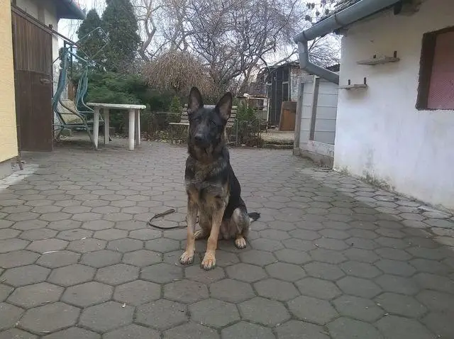 Becky nad Vlčou dolinou