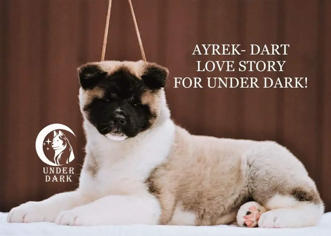 Ayrek-Dart Love Story For Under Dark