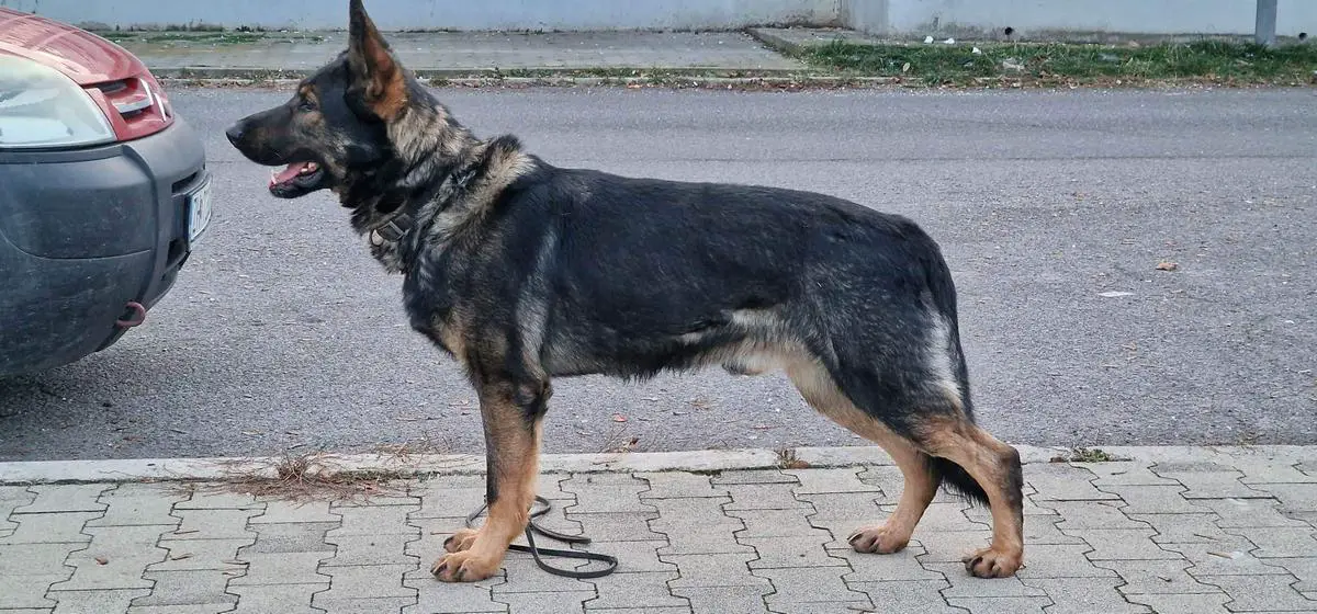 Uve Zo Žiaru