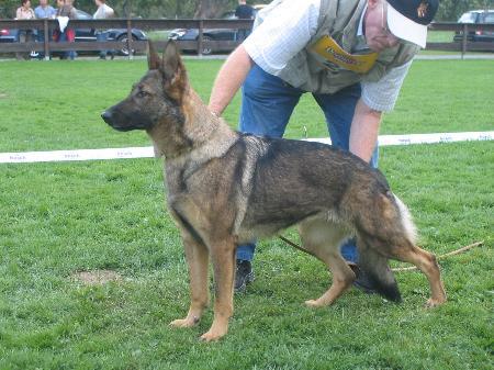 Fanni von den Korbmachern
