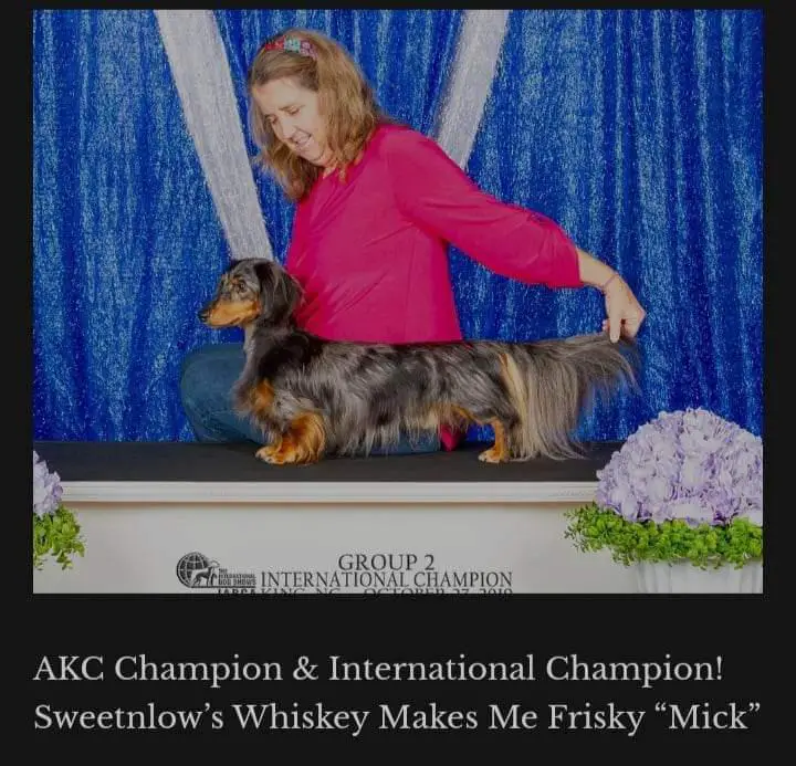 CH Int.CH Sweetnlow's Whiskey Makes Me Frisky
