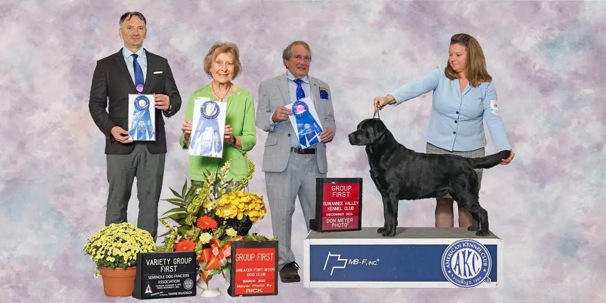 GCHG Westlane's Lightning Crashes