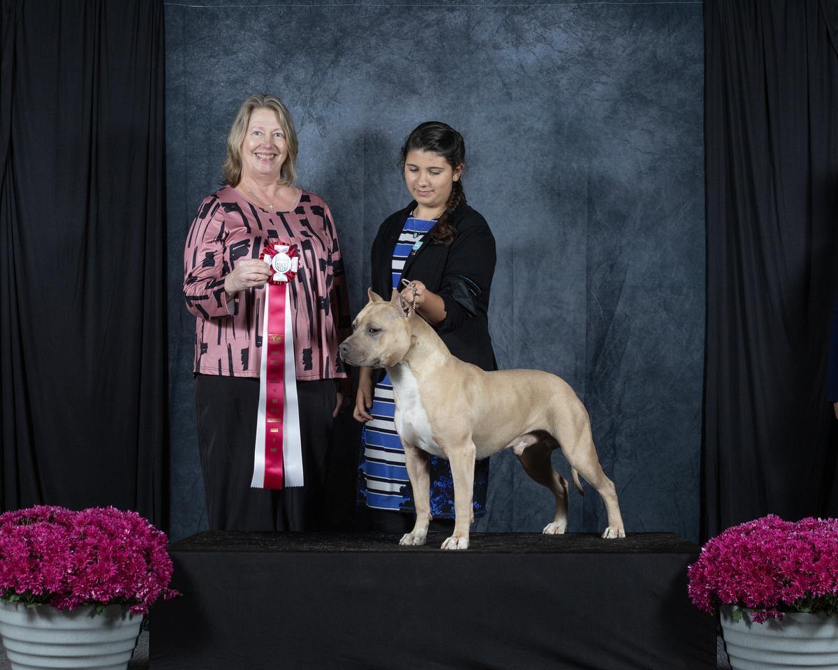 CH Bartin's Call Me Old Fashioned