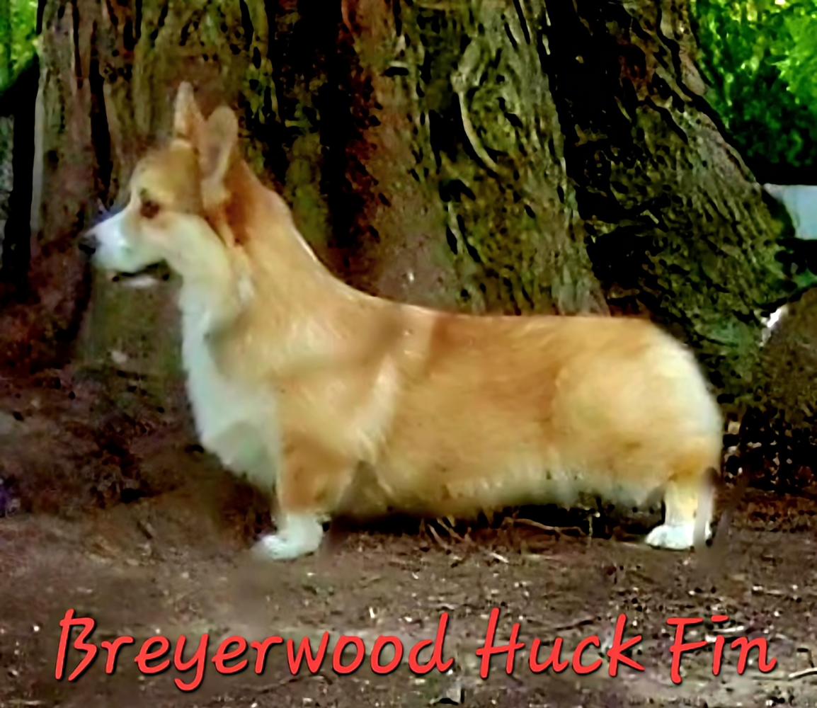 Breyerwood Huck Fin