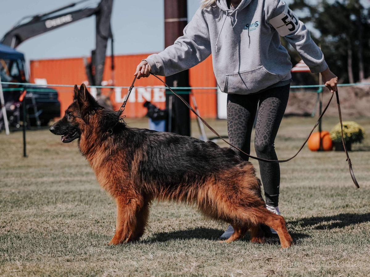 SG Lora z Wilczego Wzgorza