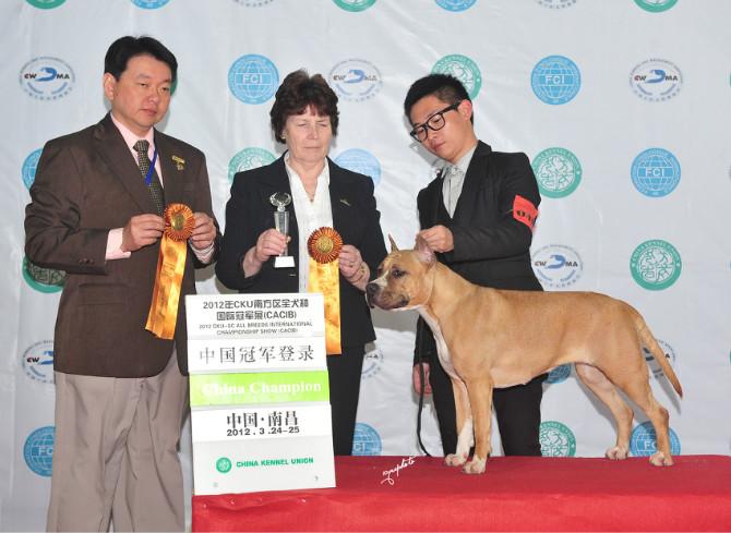 CN.CH Holli Ruby Of Weihao Kennel