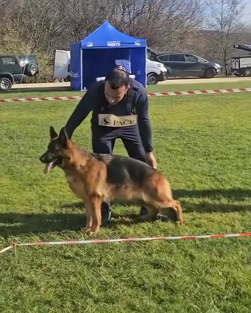 JPW22 JCW22 PW23 JCH(PT) CH(PT) Jessy da Casa Fornos dos Mouros