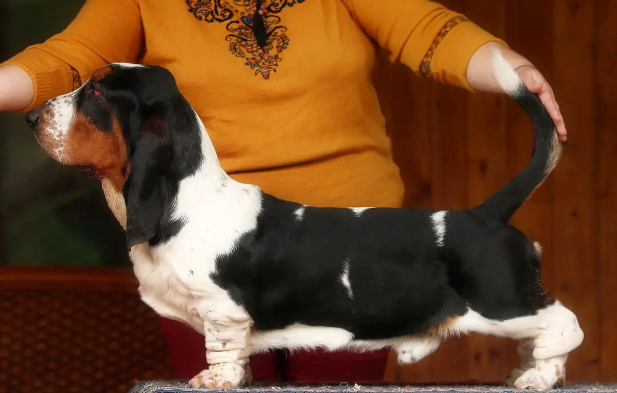 CH UA, CH MOL ERAGON BASFUM