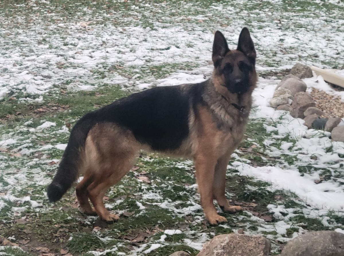 Thena Von Northern Sky