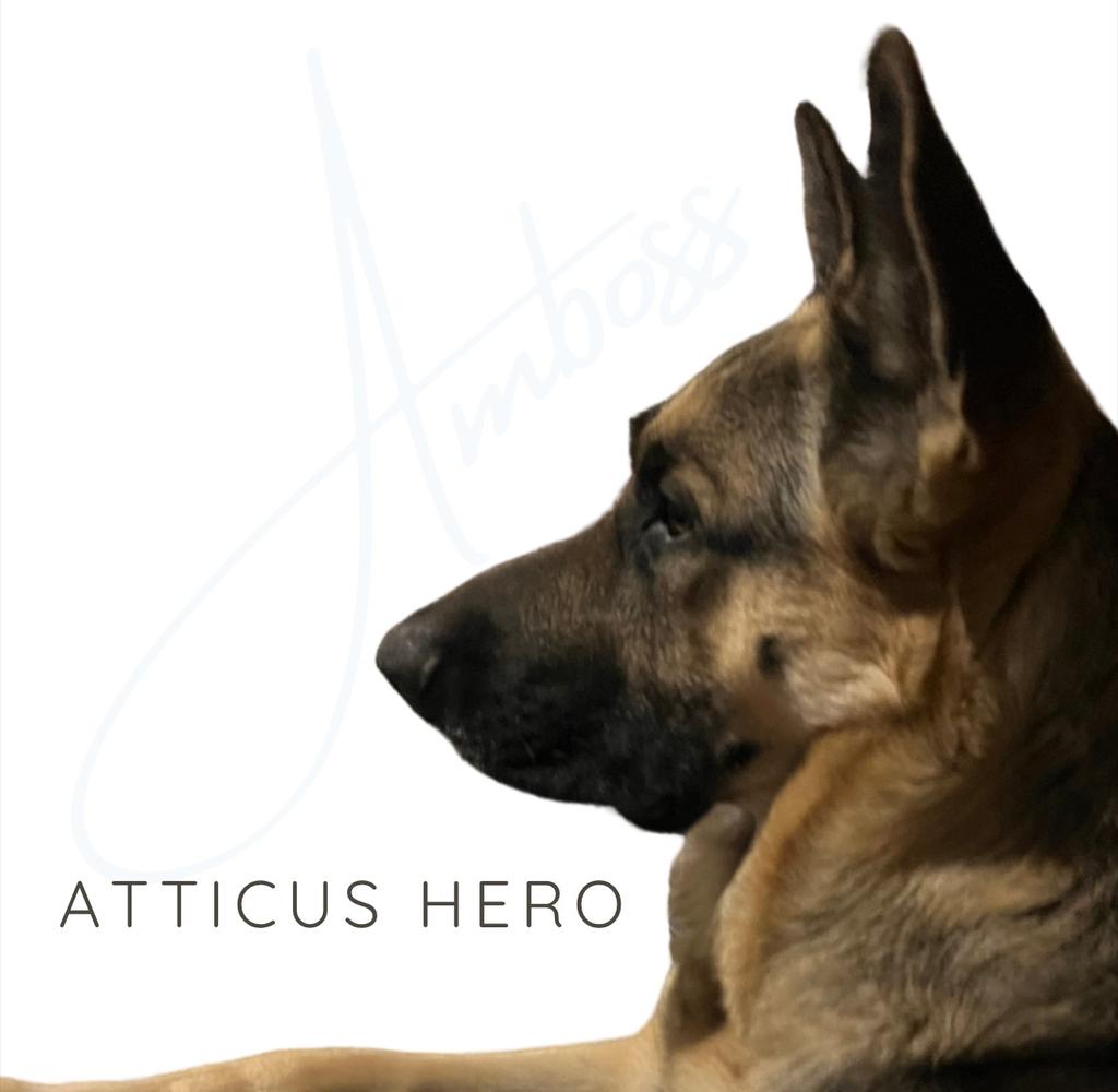 T Y J Atticus Hero