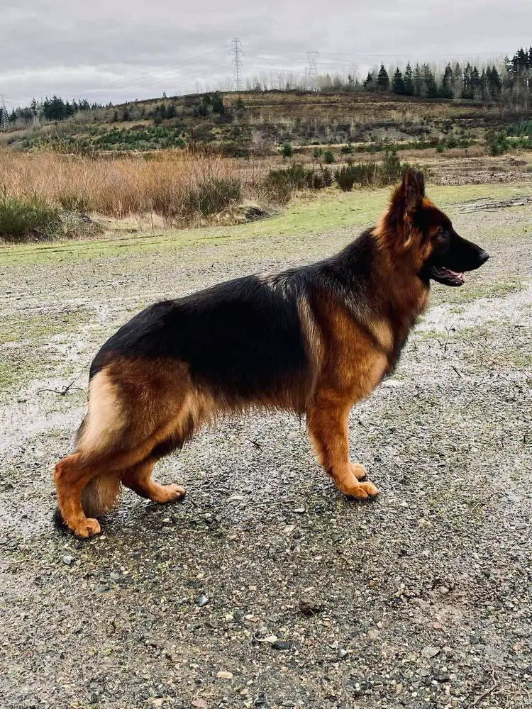 Xandi Aus Mecklenburg