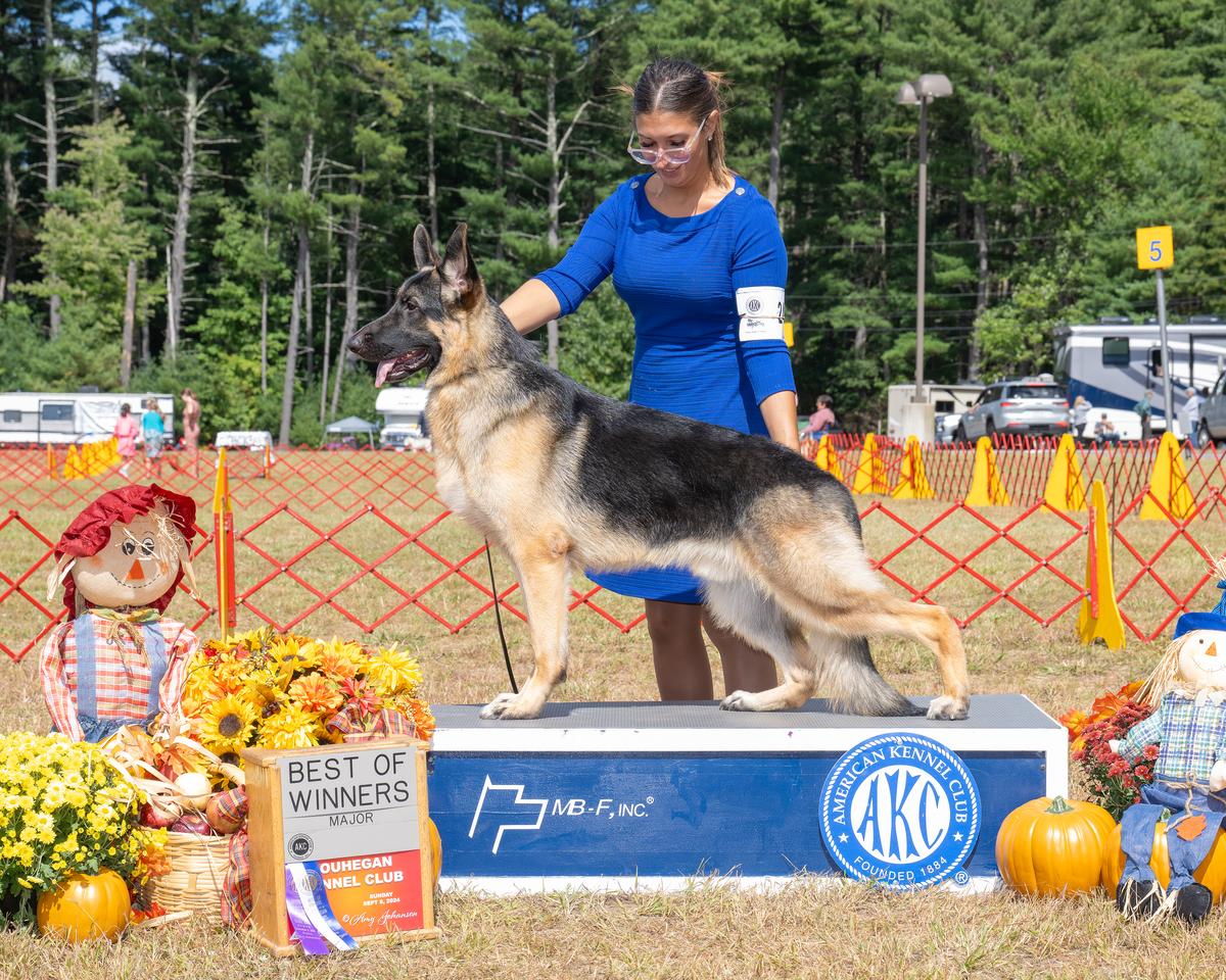 Colbyhaus Jack Daniels No 7