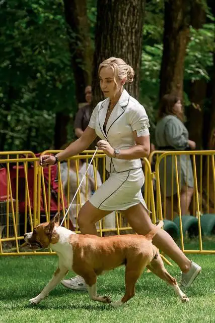 ЮЧР,ЧР,ЧКРФ ASTRA VIA BEATRICHE