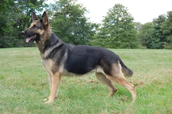 Pepsi vom Körbelbach