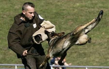 SG Dina vom Fluchtweg