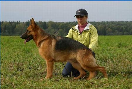 V (RUS) Angie di Casa Di Sandra