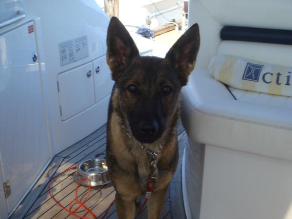 Hobi von den Königstannen