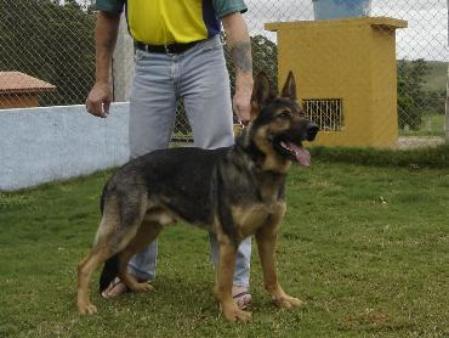 Yacko vom Cap Arkona