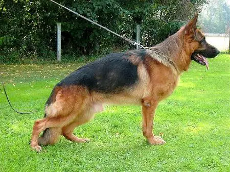 Bac von der Prinzenschneise