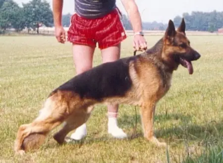 Kim vom Frankengrund