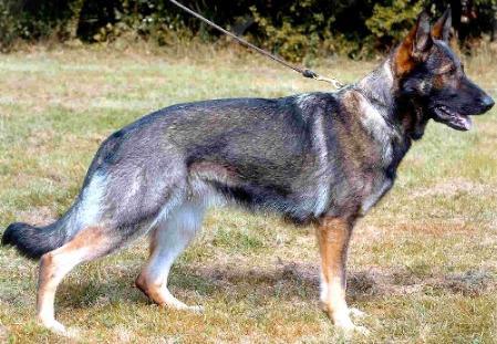 DM 2005 Glarbo Odessa