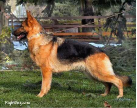 V (US) Mercedes v TeMar