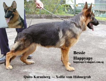 Bessie von Happyapy