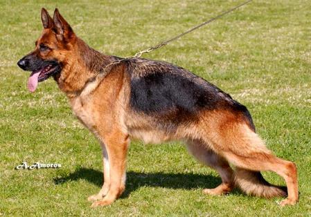 VA-2 SPAIN 2007 Laury de Villacristi