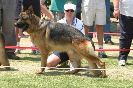 VA(SA) Xenzo von Kazandi