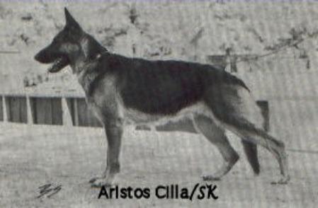 Aristos Cilla