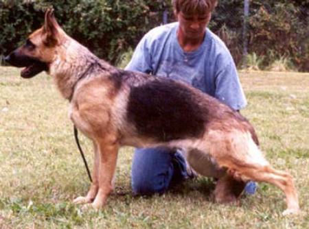 Ezra vom Fleischerheim