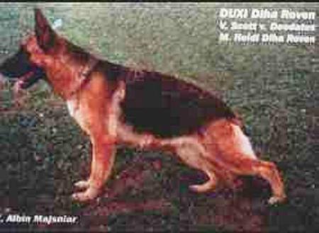 Duxi Dlha Roven