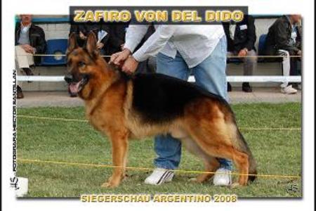VA 5 (ARG) Zafiro von Del Dido