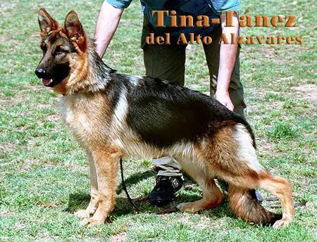 Tina Tanez Del Alto Alzavares