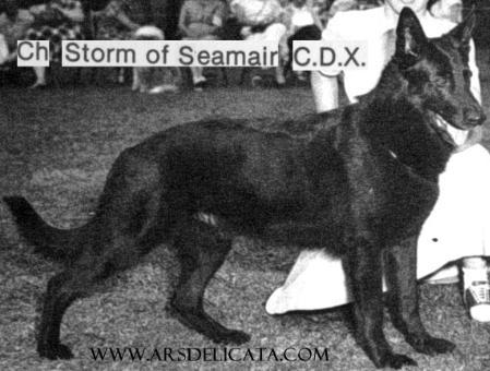 CH (US) Storm of Seamair