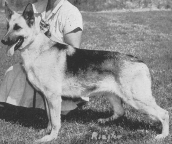 CH (US) Rippling Rhythm of Long Worth