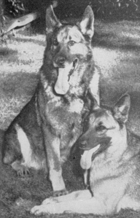 CH Leu vom Kahlgrund