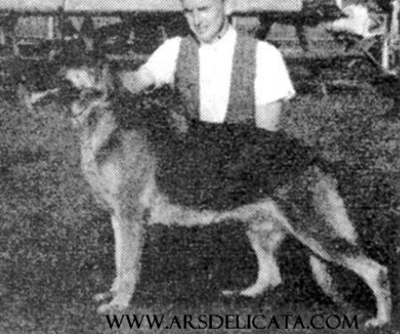 Santana's Miss Barb Kat