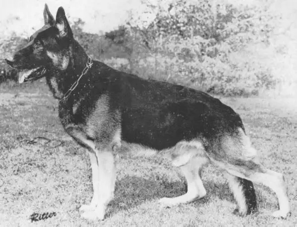 BIS CH (US) Bar vom Weihertürchen