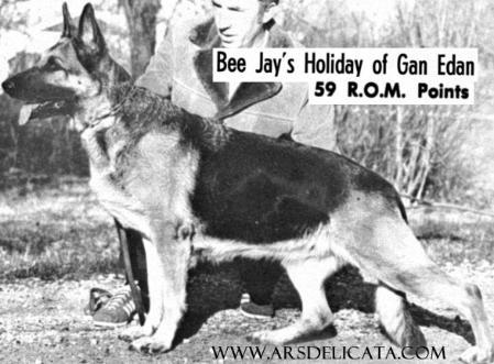 Bee Jay's Holiday of Gan Edan