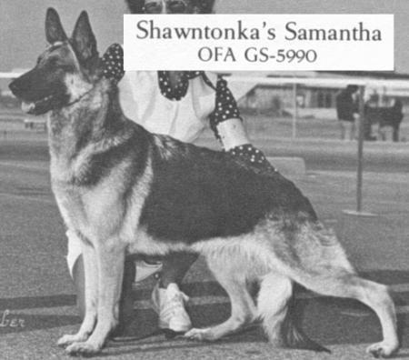 CH (US) Shawntonka's Samantha