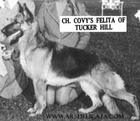 CH Covy's Felita Of Tuckerhill