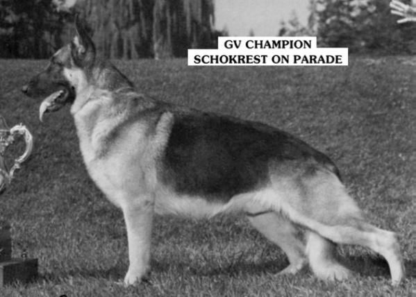 1979 GV CH (US) Schokrest on Parade