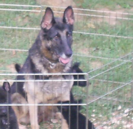 G Tina van Guy's Hof