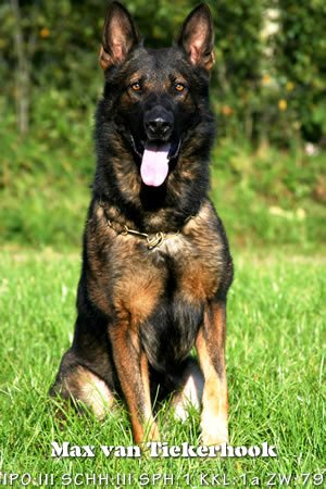 SG Max van Tiekerhook (2002)