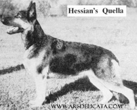 Hessian's Quella