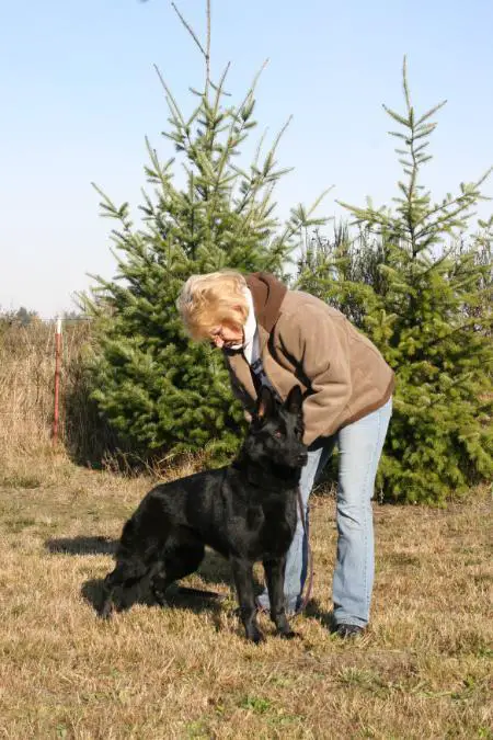 SG City vom Siegerhof