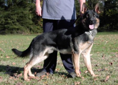 Kyro von der Bergipfel