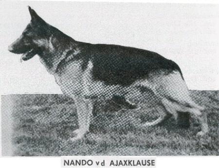 KORAD Nando Von Der Ajaxklause